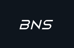 Boulder Nonlinear Systems