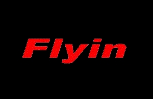 Flyin Optronics