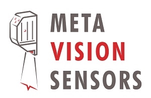 Meta Vision Sensors