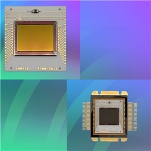 PIRT1280A1-12短波红外传感器实物图（Princeton Infrared Technologies制造）