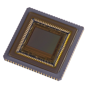 Lince5MCMOS图像传感器实物图（Teledyne e2v制造）