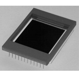 CCD42-40 (BI, AIMO)CCD图像传感器实物图（Teledyne e2v制造）
