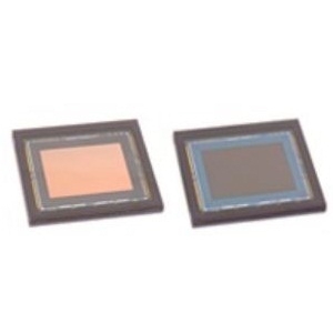IMX255LLR/LQRCMOS图像传感器实物图（Sony Semiconductor Solutions Corporation制造）