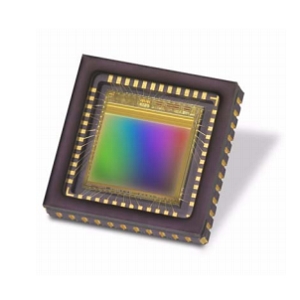EV76C661CMOS图像传感器实物图（Teledyne Imaging制造）