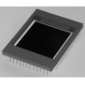 CCD42-40 (BI,NIMO)CCD图像传感器实物图（Teledyne e2v制造）