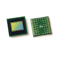 OV3660CMOS图像传感器实物图（OmniVision Technologies制造）